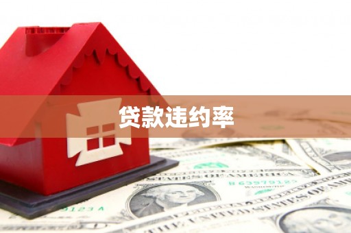 方正贷款违约率