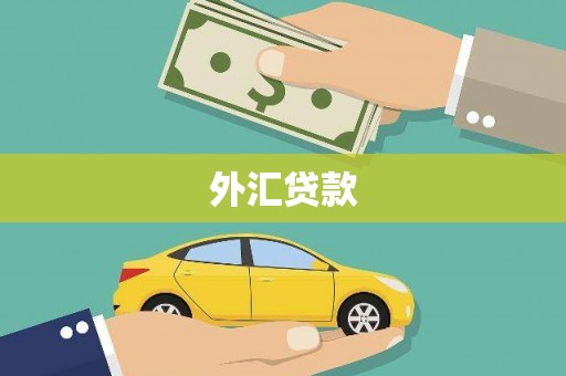 方正外汇贷款
