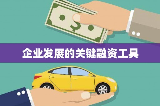 方正企业发展的关键融资工具