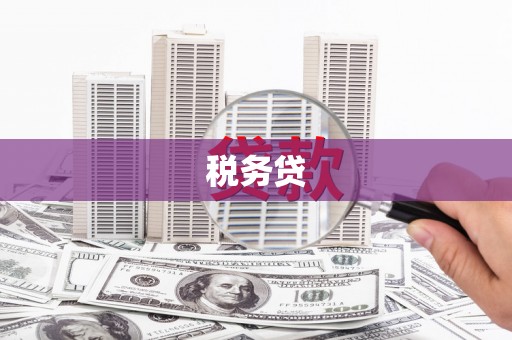 方正税务贷