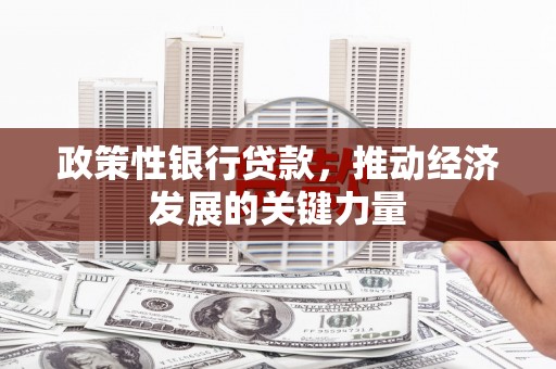 方正政策性银行贷款，推动经济发展的关键力量