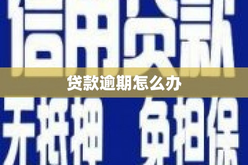 方正贷款逾期怎么办