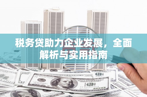 方正税务贷助力企业发展，全面解析与实用指南