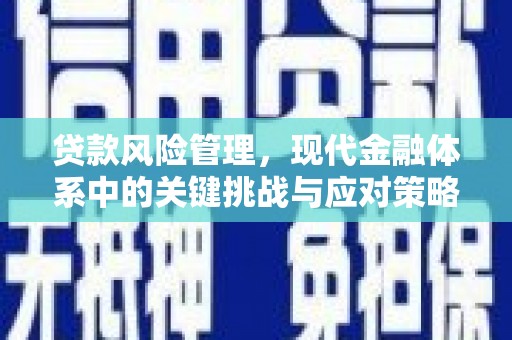 方正贷款风险管理，现代金融体系中的关键挑战与应对策略