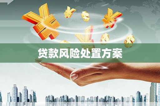 方正贷款风险处置方案