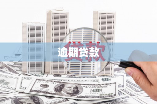 方正逾期贷款